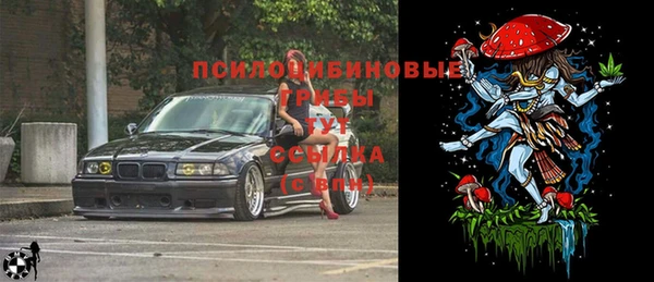 СК Абдулино