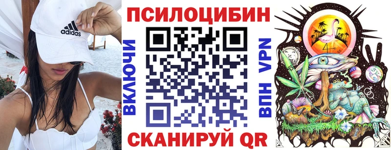 купить  цена  Шарыпово  Галлюциногенные грибы Cubensis 